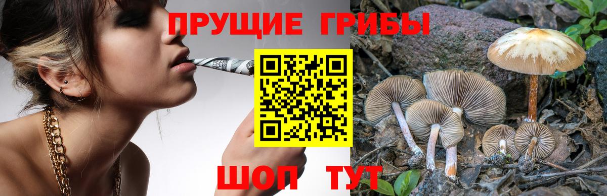 Коммунар  Псилоцибиновые грибы мухоморы  Вход с VPN  купить наркотик  Псилоцибиновые грибы GOLDEN TEACHER 